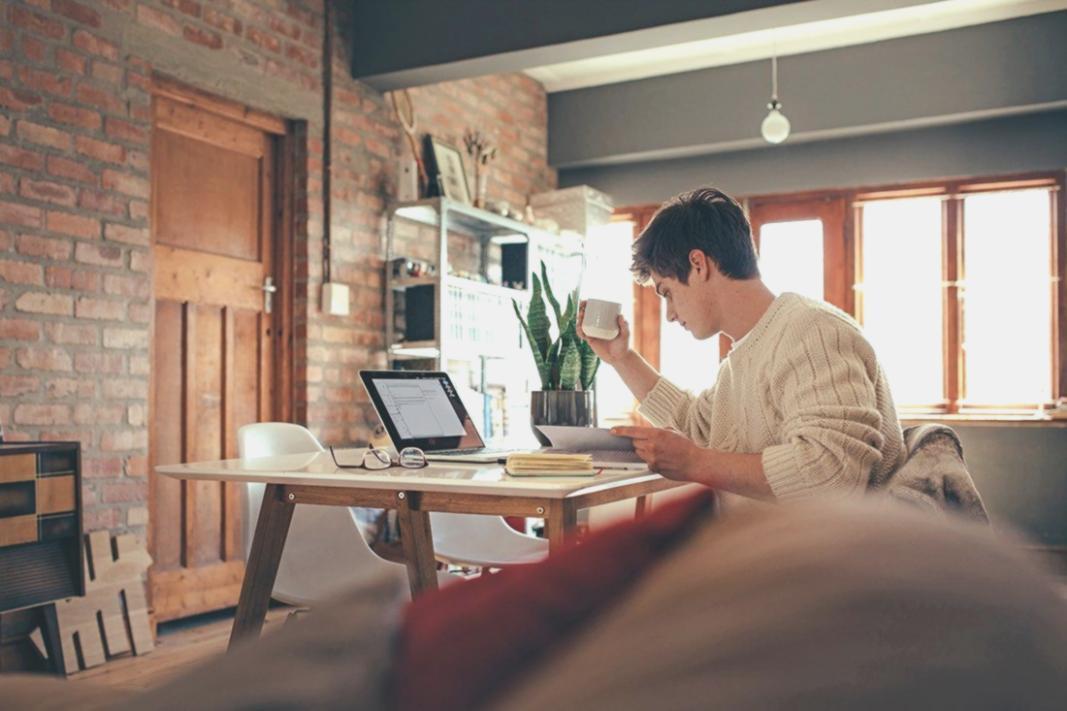 Portofoliu proiecte Palenystareo